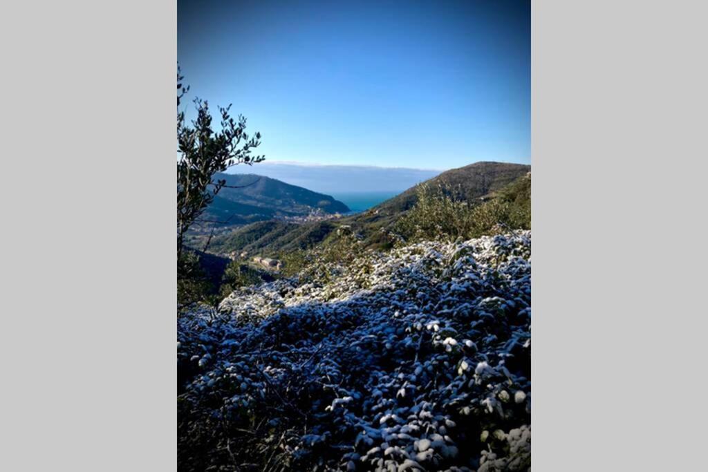 Casa Sara, Levanto, In Collina Ad Un Passo Dal Mare! Eksteriør bilde